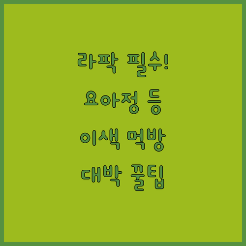 대구 라이온즈 파크 요아정 납작만두 등 이색 간식 정리