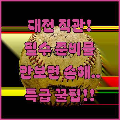 대전 한화생명 이글스파크 야구장 관람 시 유의사항과 준비물