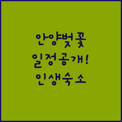 안양 벚꽃 축제 기간 및 주변 숙소 추천 시설 정보