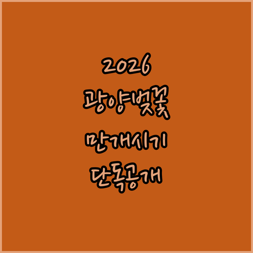 2026년 광양 벚꽃 만개 시기 및 현지인 추천 명소 3곳