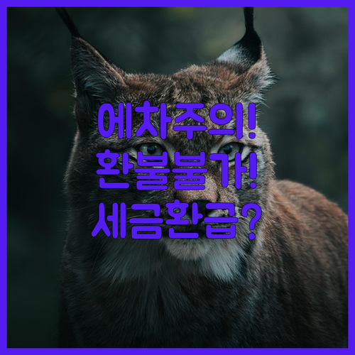 에어차이나 특가 운임 환불 불가 주의, 세금 환급은 가능