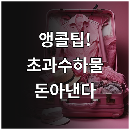 스카이 앙코르 항공 위탁수하물 초과 요금 절약 팁