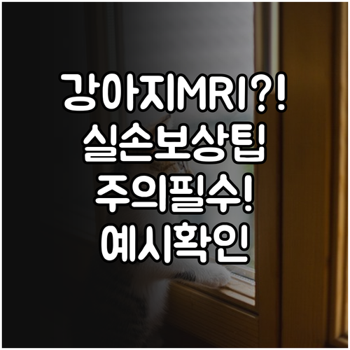 강아지 MRI 비용 실손 보상 예시와 주의사항