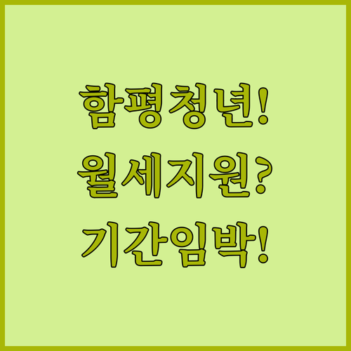 2026 함평군 청년월세 지원 | 신청 기간 및 준비 서류 체크리스트