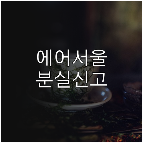 에어서울 수하물 분실 신고 이메일 주소