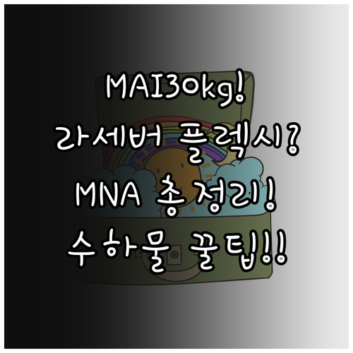 MAI 라이트 세이버 플렉시 MNA 30kg 수하물 총정리