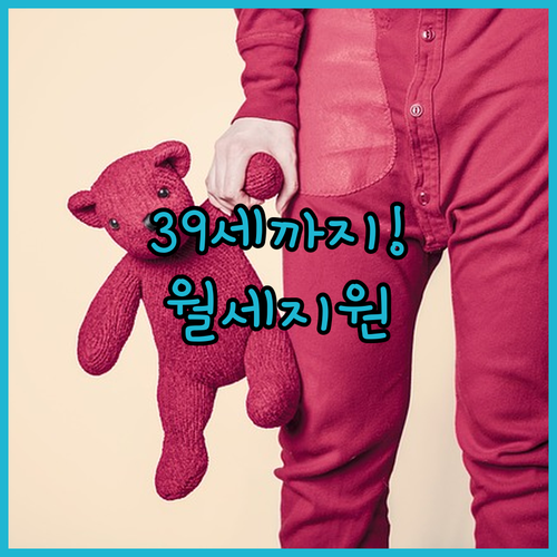 고양시 청년월세지원 만19세부터 39세까지 신청 가능