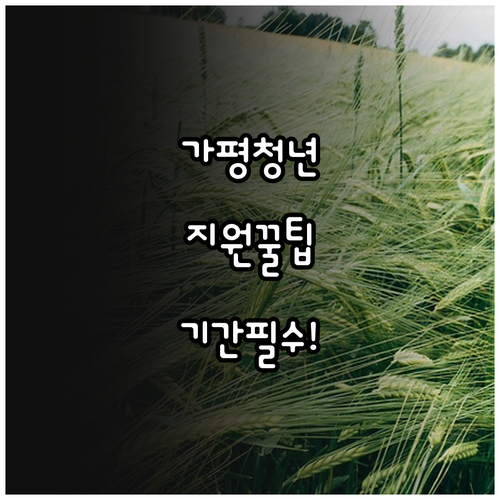 가평군 청년월세지원 신청 기간과 필요 서류