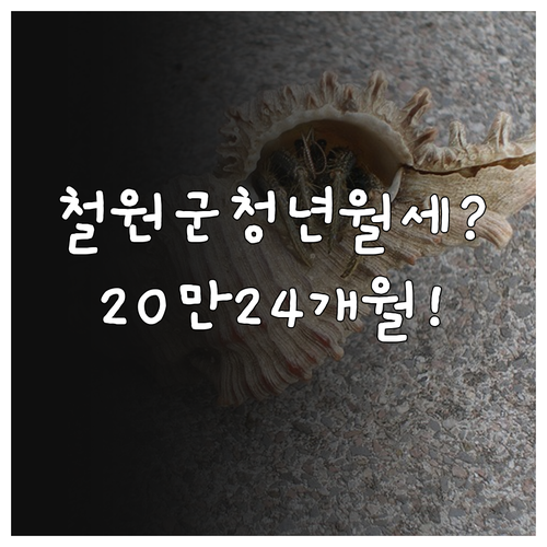 철원군 청년월세 20만원 24개월 지원 대상 정리