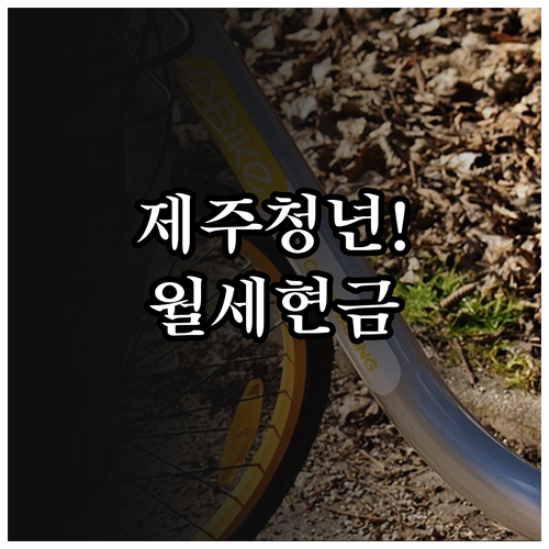 2026년 제주 청년월세 현금 지원 안내