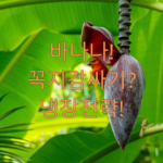 image b0b8c630