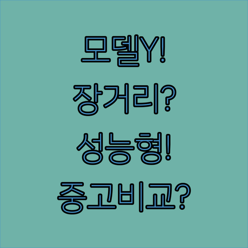 테슬라 모델Y 롱레인지 퍼포먼스 중고차 매매 비교