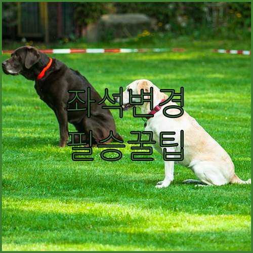 상하이항공 좌석 변경 미리 준비하면 스트레스 없음