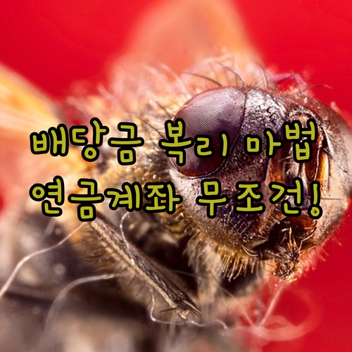 image 05667b9d