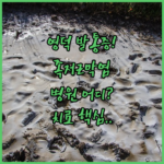 image 058b2572