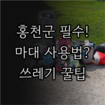 image 06a555be