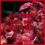 image 297a8398