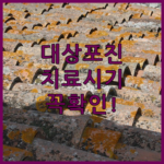 image 3cc92ab9