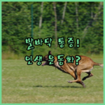 image 751d139c