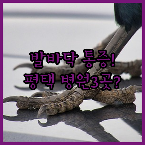 image 79c59ef7