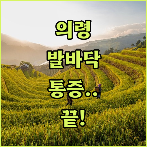 image c028572d