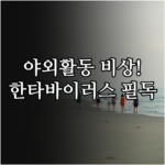 image c381cd1f