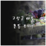 image ce634798