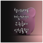 image d979bbf7