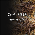 image f505d8fc