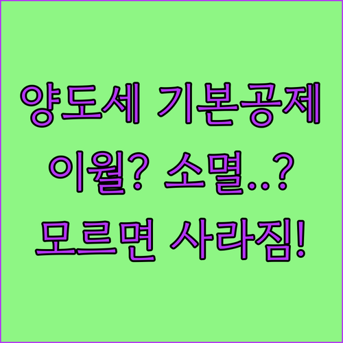 양도소득세 기본공제 남은 한도 이월 가능 여부와 소멸 기준