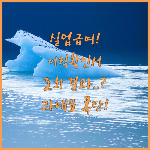 실업급여 이직확인서 조회 결과별 의미와 사업주 과태료 기준