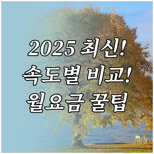 2025년 인터넷 요금제 속도별 월 요금과 비교 방법