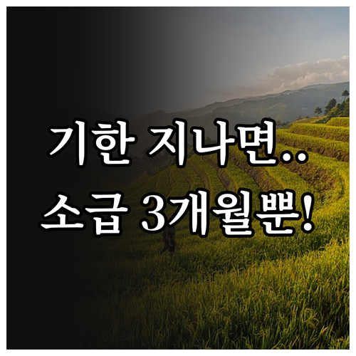 국민연금 납부예외 기한 지나면 3개월 이내만 소급