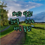 image 9de5f047