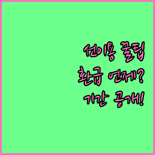 산후도우미 정부지원 선이용 후 환급, 지급까지 걸리는 기간