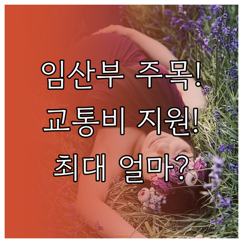 임산부 교통비 지원 신청방법과 지자체별 지원금액